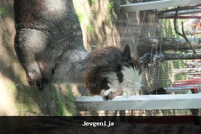 Test foto 1
