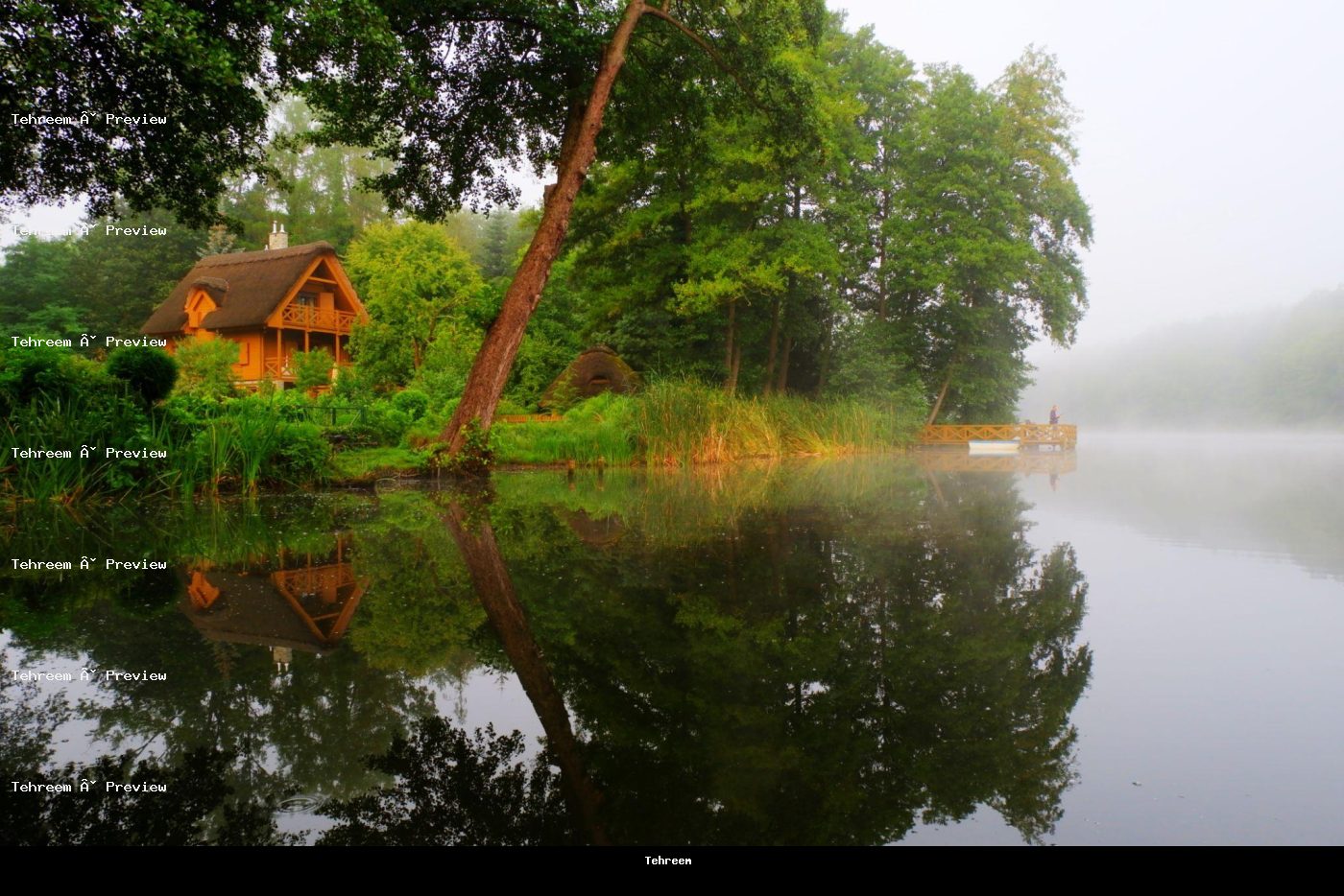 Lake view