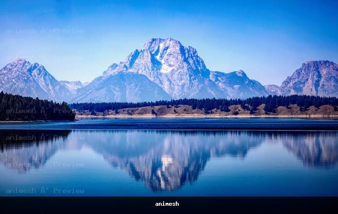 water nature